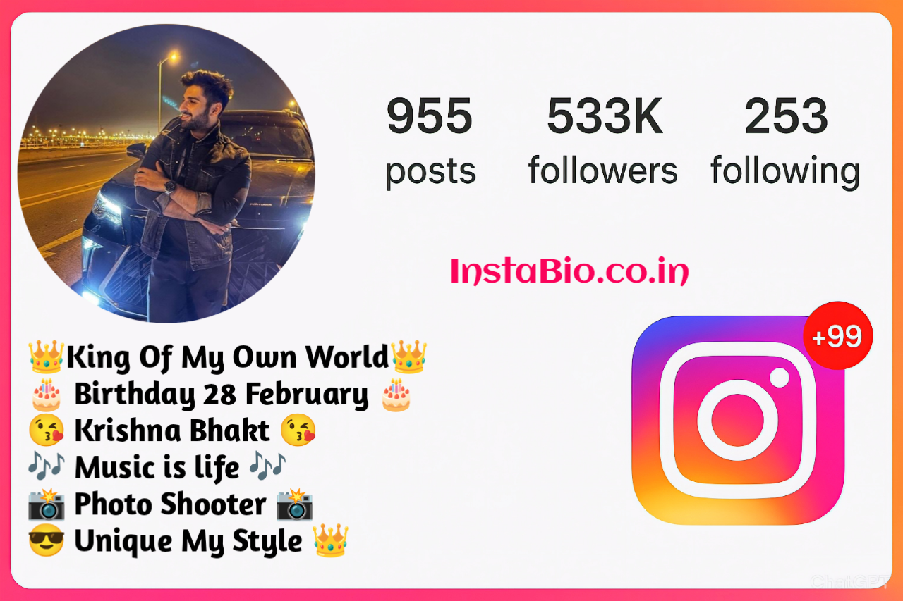 Instagram Bio For Boys Simple