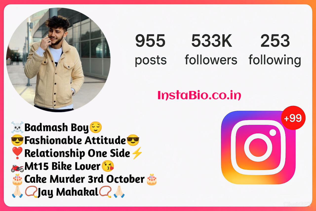 Stylish Instagram Bio for Boys