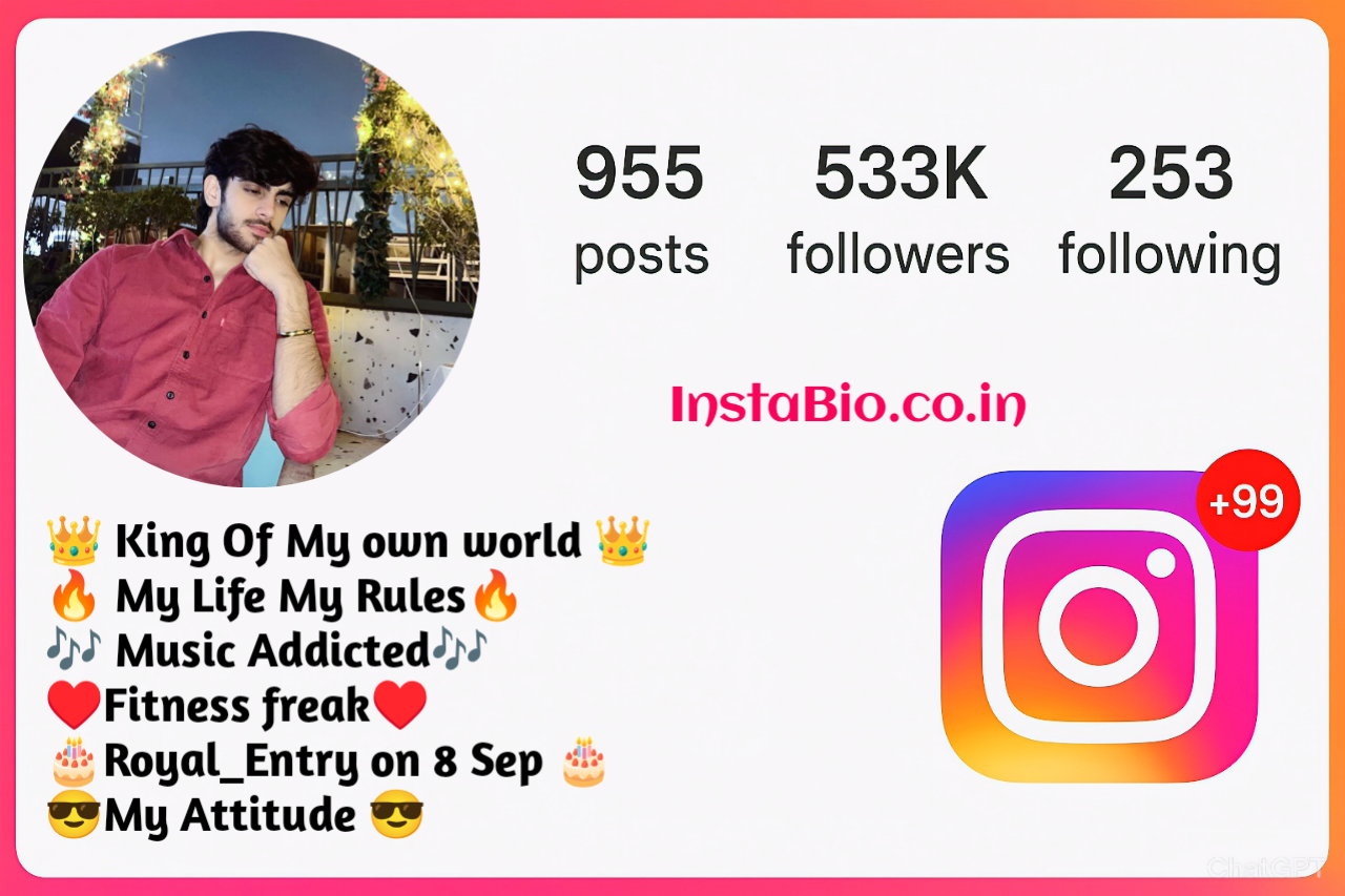 Stylish Instagram Bio for Boys